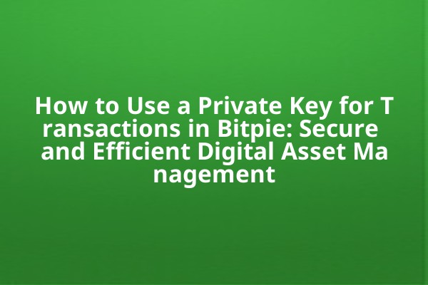 How to Use a Private Key for Transactions in Bitpie: Secure and Efficient Digital Asset Management