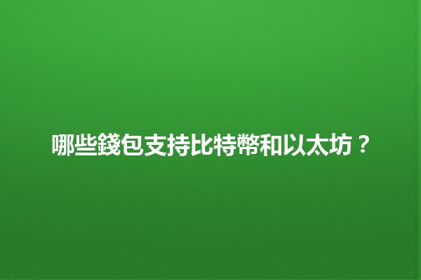 哪些錢包支持比特幣和以太坊？💰🌐