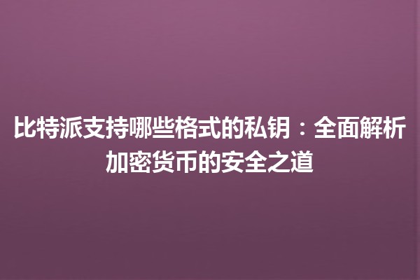 比特派支持哪些格式的私钥：全面解析加密货币的安全之道
